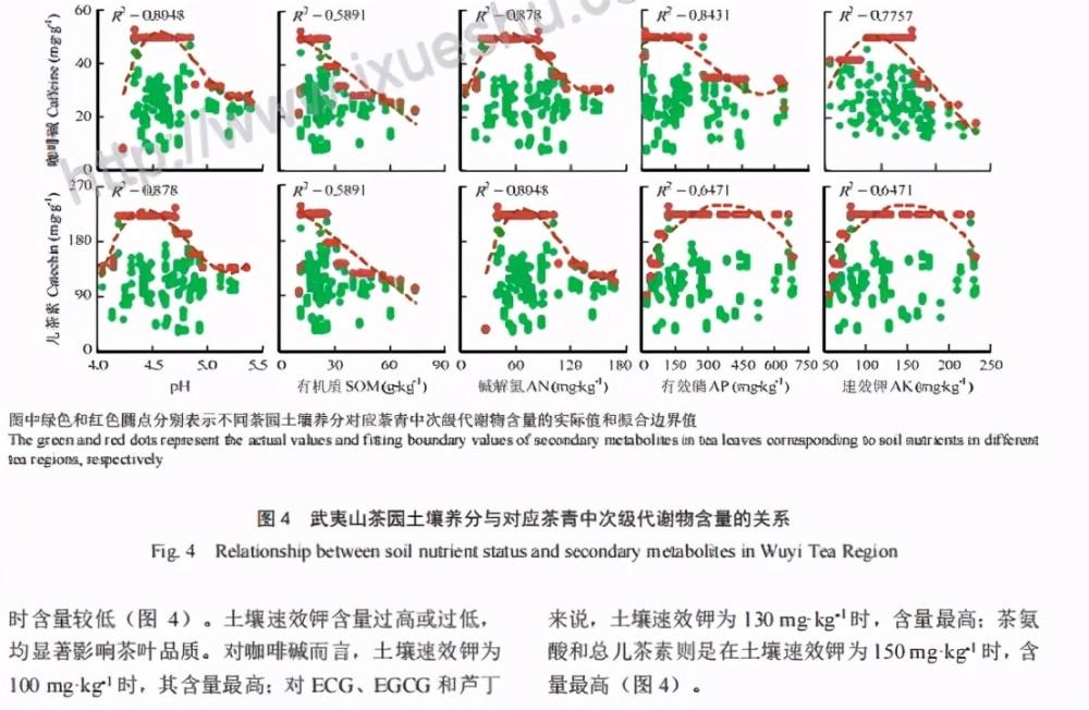 汽车旅游文化,汽车旅游文化与科学分析解释定义，探索正版文化的新领域,诠释评估说明_Z83.90.95