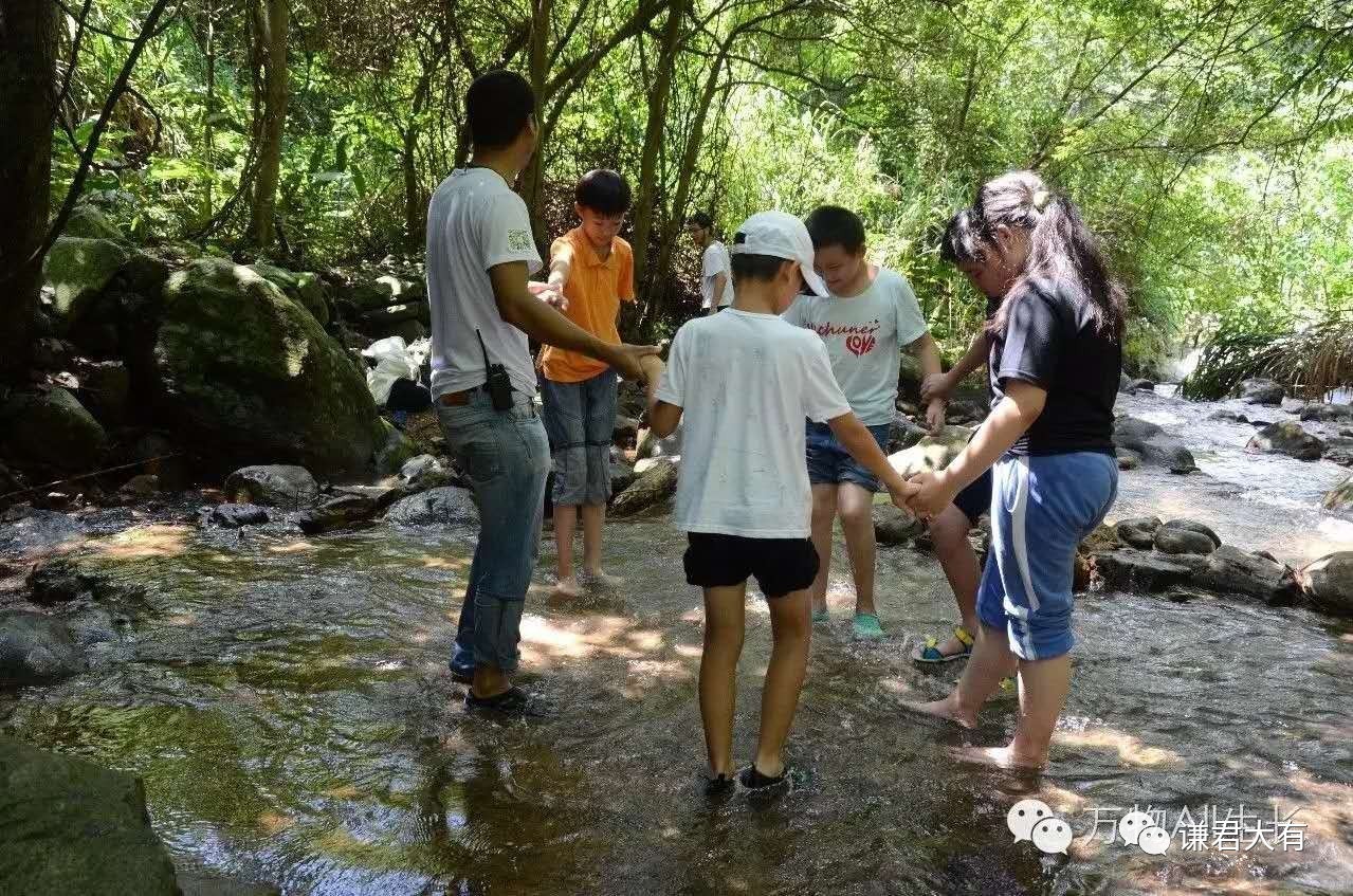 深圳梧桐山艺术小镇租房,深圳梧桐山艺术小镇租房深入分析解释定义,实地验证设计解析_版口81.35.43