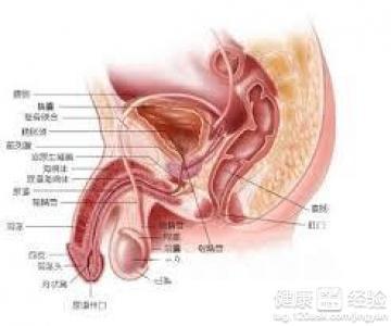 前列腺炎好治吗要多久,前列腺炎的实地解答，定义、治疗与恢复时间,数据导向设计解析_诗版40.65.97