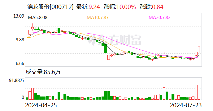 美洲豹股份有限公司,美洲豹股份有限公司的领航款系统化分析说明,创新性策略设计_制版15.83.40