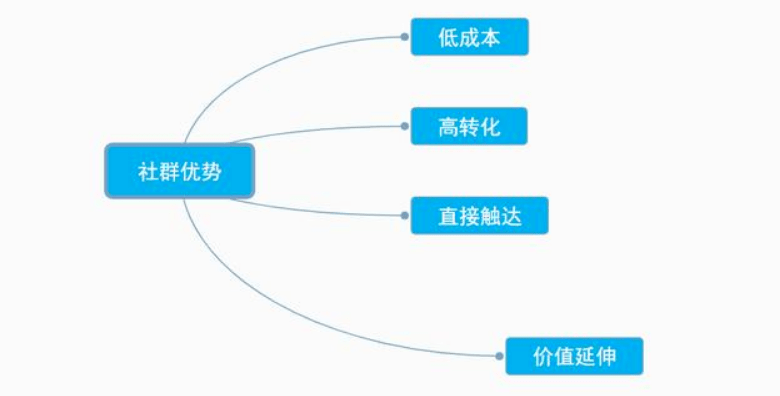 小鱼儿玄主页玄机