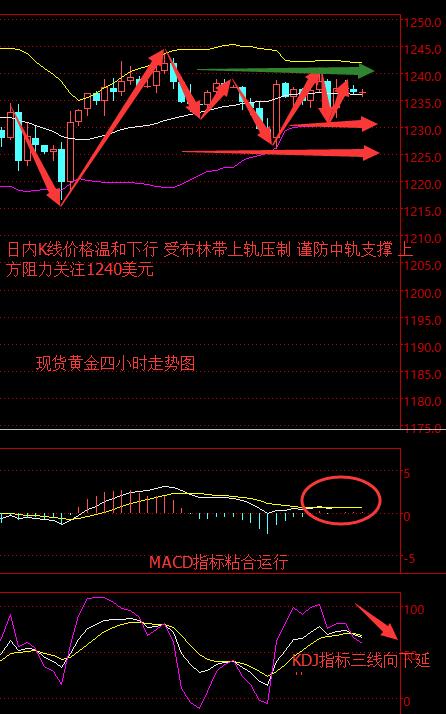 澳门赛马