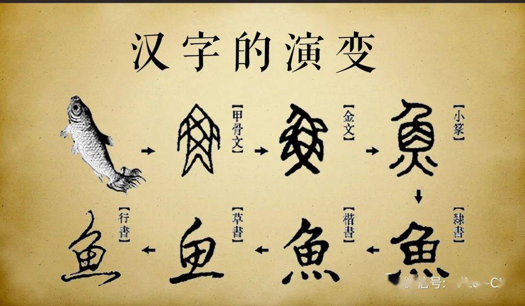 繁体字尊重与保护