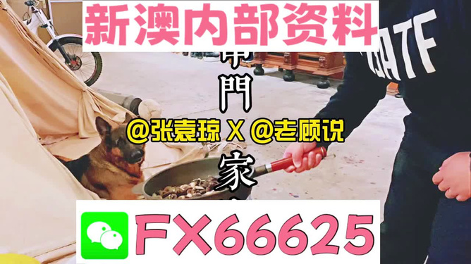 新澳门2025年资料大全管家婆