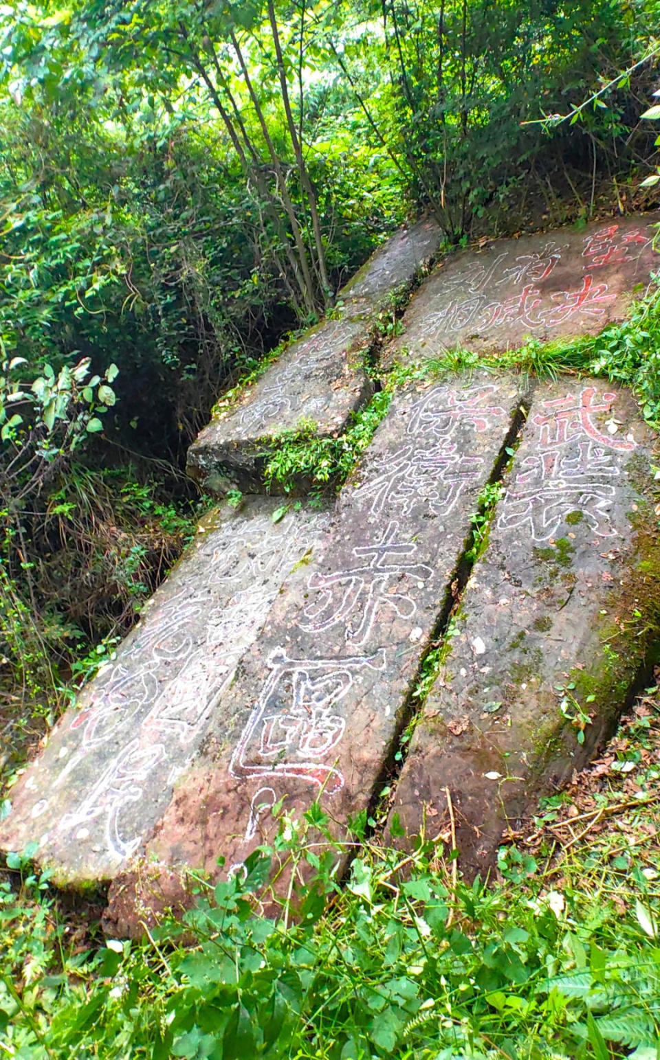 历史背景介绍